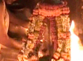 Vishwanath  Jyotirlinga Shiva Temple